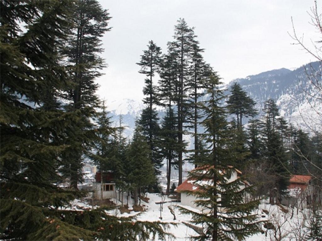 Hotel Greenfields Manali  Exterior photo